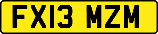 FX13MZM