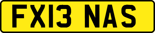 FX13NAS
