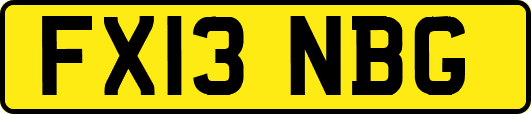 FX13NBG
