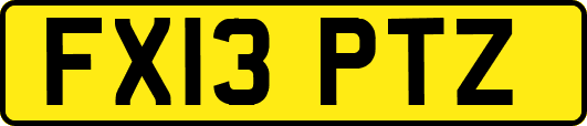 FX13PTZ