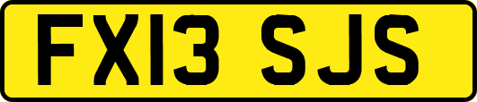 FX13SJS