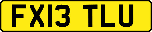 FX13TLU