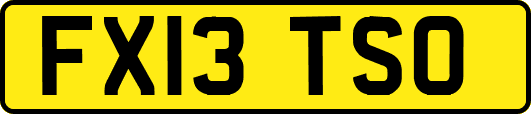 FX13TSO