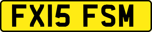 FX15FSM