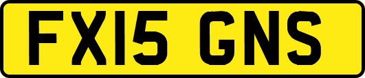FX15GNS
