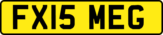 FX15MEG
