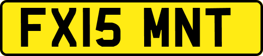FX15MNT