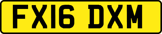 FX16DXM