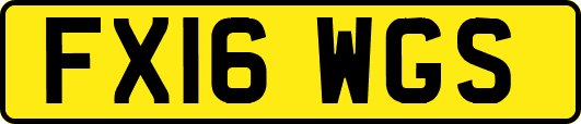 FX16WGS