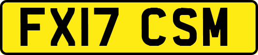 FX17CSM
