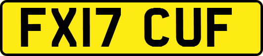 FX17CUF