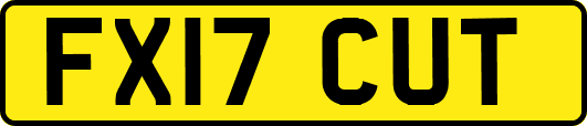 FX17CUT