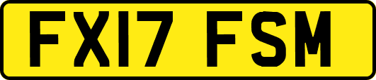 FX17FSM