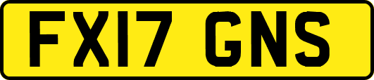 FX17GNS