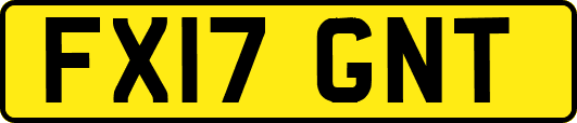 FX17GNT