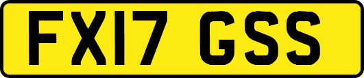 FX17GSS