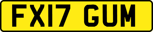 FX17GUM