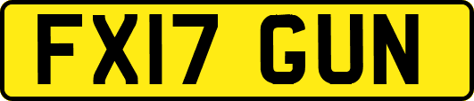 FX17GUN