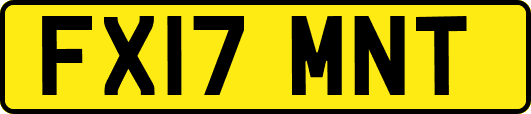 FX17MNT
