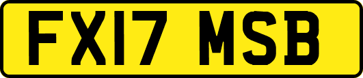 FX17MSB