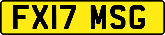 FX17MSG