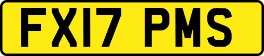 FX17PMS