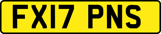 FX17PNS