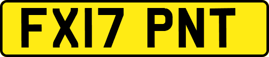 FX17PNT