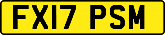 FX17PSM