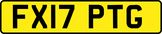 FX17PTG