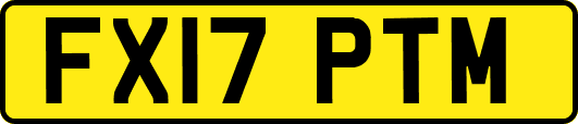 FX17PTM