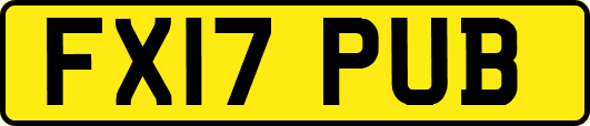 FX17PUB