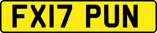 FX17PUN