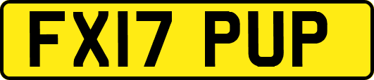 FX17PUP