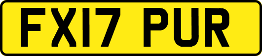 FX17PUR