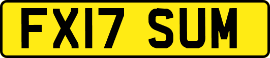 FX17SUM