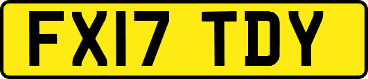 FX17TDY