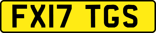 FX17TGS