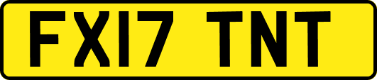 FX17TNT