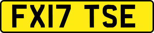 FX17TSE