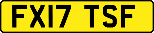 FX17TSF