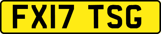 FX17TSG