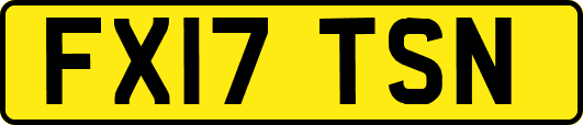 FX17TSN