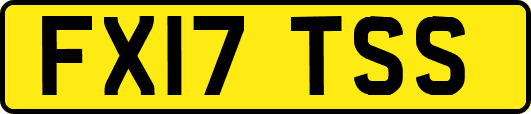 FX17TSS