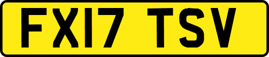 FX17TSV