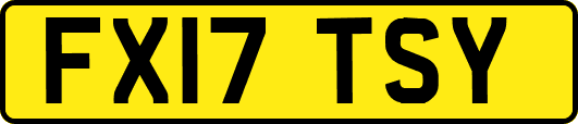 FX17TSY