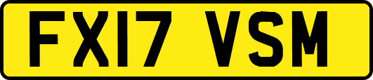 FX17VSM