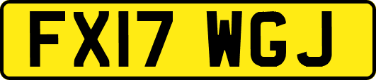 FX17WGJ