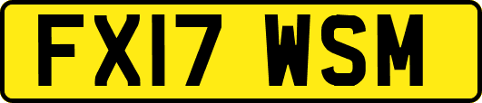 FX17WSM