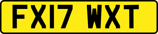 FX17WXT